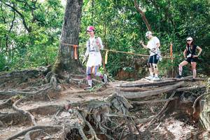 BIB: 
                            <button type="button" onclick="openModal(27720081)" class="btn btn-primary btn-sm float-right btn-popup" data-toggle="modal" data-target=".modal-high-quality">
                        <i class="fas fa-shopping-cart"></i> Add to Cart
                    </button>
                                            <button type="button" onclick="isThisMe(27720081, true)" class="btn btn-success btn-sm float-right btn-popup btn-isme hidden" data-toggle="tooltip" data-placement="bottom" title="นี่คือรูปของคุณใช่ไหม คลิกที่นี่เพื่อเอาเข้าอัลบั้ม">
                        <i class="fas fa-plus"></i> Add to album
                    </button>
                    <button type="button" onclick="isThisMe(27720081, false)" class="btn btn-warning btn-sm float-right btn-popup btn-isnotme hidden">
                        <i class="fas fa-ban"></i> Remove from album
                    </button>